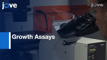 Growth Assays To Assess Polyglutamine Toxicity In Yeast l Protocol Preview