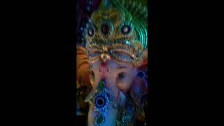 Ya Re Ya - Ventilator | Presented By Priyanka Chopra | Dir . By Rajesh Mapuskar .new editing video