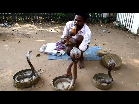 Vaginal mashqlar (video) onlayn Porno talaba sinfda oz shogirdini sikadi