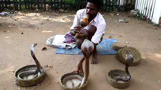 Apakah Ular Dapat Mendengar Mu Dan Menari?