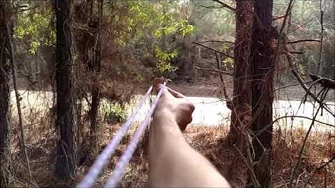 How to measure Basal Area