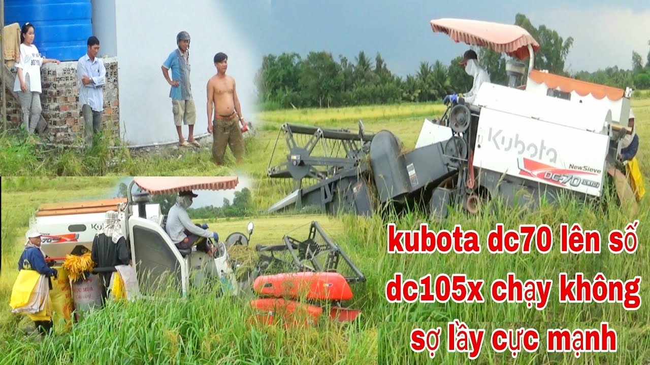 XEM MÁY CẮT LÚA KUBOTA DC70 LÊN SỐ DC105X CHẠY CỰC MẠNH SIÊU NHANH combine claas lexion