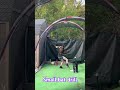 Cookie Cerny Small Bat Sparks Baseball Saxons #womensbaseball #baseballgirl