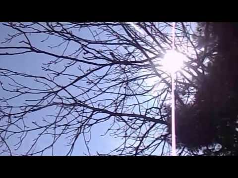 მანანა შალიკაშვილი   პოეტის და კომპოზიტირის შემოქმედებითი საღამო