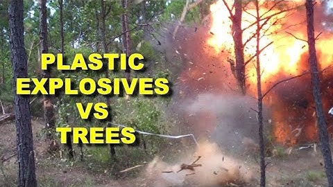 Blowing up Trees with C4! Up close!  Army Combat Engineers