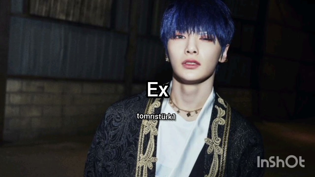 Stray kids I. N IN生(In Life) album line parts 