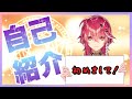 【自己紹介】宮廷魔導師の、紅音ソラです【Vtuber】