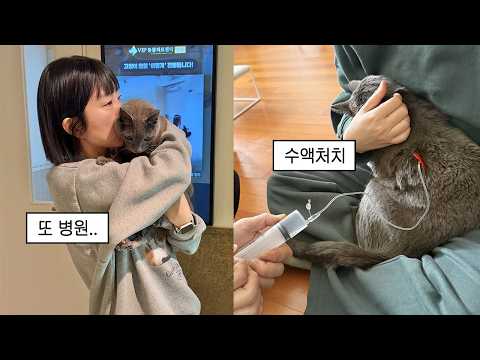 먼지가 또다시 너무 아팠어요