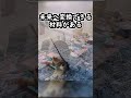 ロシアが大変なのはウクライナ戦争「後」かもしれません#ゆっくり軍事解説 #ロシアウクライナ戦争 #ロシア #shorts
