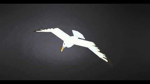 Lowpoly seagull animation test