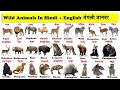 wild animals in english and hindi with pdf | जंगली जानवर | wild animals names | download pdf |