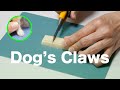 羊毛フェルトとワックスで作る犬の爪 Dog's Claws