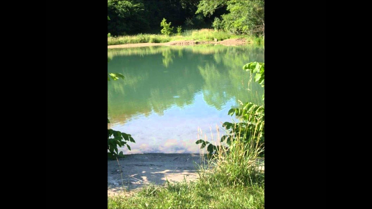 Lake Bed-- brown bird