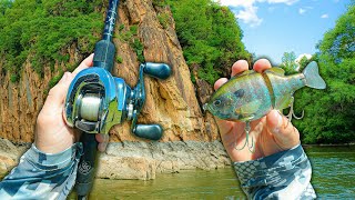 Throwing REALISTIC Baits For River Monsters  Crazy Reaction Bites