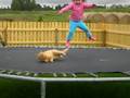 Trampoline Kitty