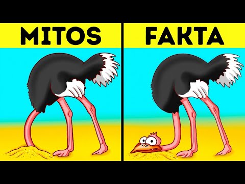 Video: 42 Fakta mengenai Dinosaur