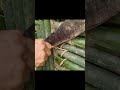 This craftsmanship is truly superb. #survival #howtomakediya #diya #diy #diybuild #bushcraft #wood
