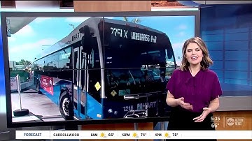 HART aims to start bus rapid transit between USF and Downtown Tampa