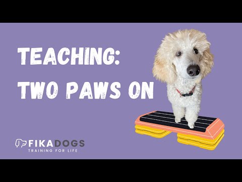 Two Paws On or Paws Up