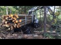 Usewood Log Master in forest