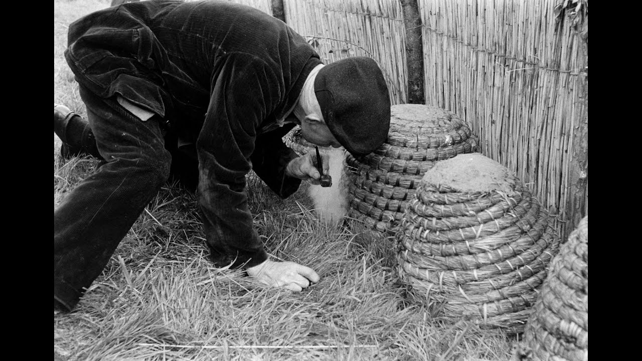 The Maverick Beekeeper - Trip To North Wales