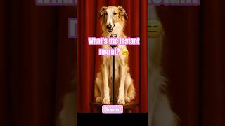What’s the instant regret?|Pup Stand-Up Comedy Shorts 🎤🤣 - EP21 #dog #funny #shorts #comedy