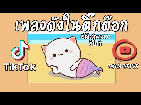 เพลงติ๊กต๊อก เพลงดังในติ๊กต๊อก2022 โอ้ยเด้นาง  เพลงดังในtiktokรวมเพลงในtiktok เพลงฮิตในtiktok