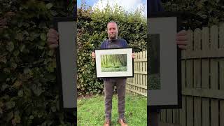 Courtmacsherry Wild Garlic and Bluebells Print