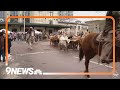 2023 National Western Stock Show Parade in Denver