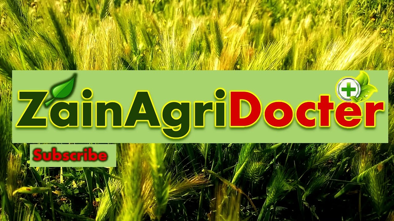 AgriDoctor — Crop Care & Agri Business