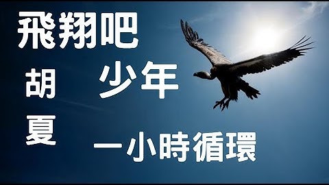 飛翔吧!少年 胡夏 胡夏歌手2020【動態歌詞Lyrics】【 一小時循環】♫ 一轉眼時間來到分別的地點♫飞翔吧！少年