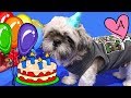 Fiesta de cumpleaños de Hamilton de Paw Patrol | Muñecas y juguetes con Andre para niñas y niños