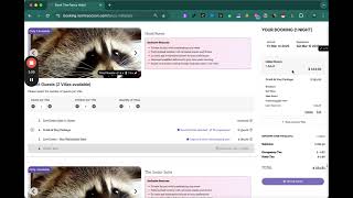 RoomRaccoon: This is our Booking Engine