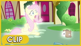 Fluttershy and Angel Bunny Switch Bodies - MLP: Friendship Is Magic [Season 9]