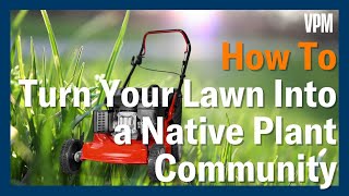 How To Convert Your Lawn Into Native Plant Communities