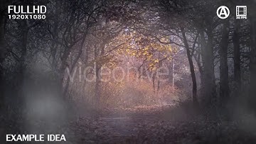 Fog | Motion Graphics - Envato elements