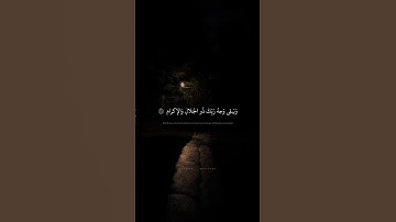 تلاوة سورة الرحمن للقارئ عبدالرحمن ناجي امام المسجد الصغير بحي الخالدية في الرياض #عبدالرحمن_ناجي