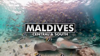 Diving the Maldives: Central & South Atolls [4k]
