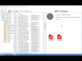 MailsDaddy NSF to PST Converter Migrates Lotus Notes to Outlook