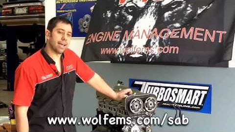 Adjustable Cam Timing Advice by Rob Sabbadin