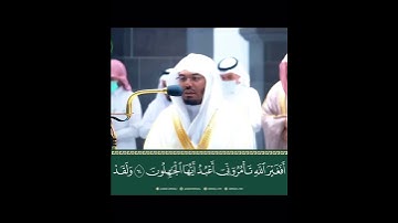 قل أَفغير اللَّه تأْمروني أَعبد أَيها الجاهلون ~ تلاوة تبكي القلوب من سورة الزمر للشيخ ياسر الدوسري