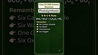Class10Science Important Questions#CBSEClass10#Class10Science#CBSEScience#NCERT#BoardExam2027