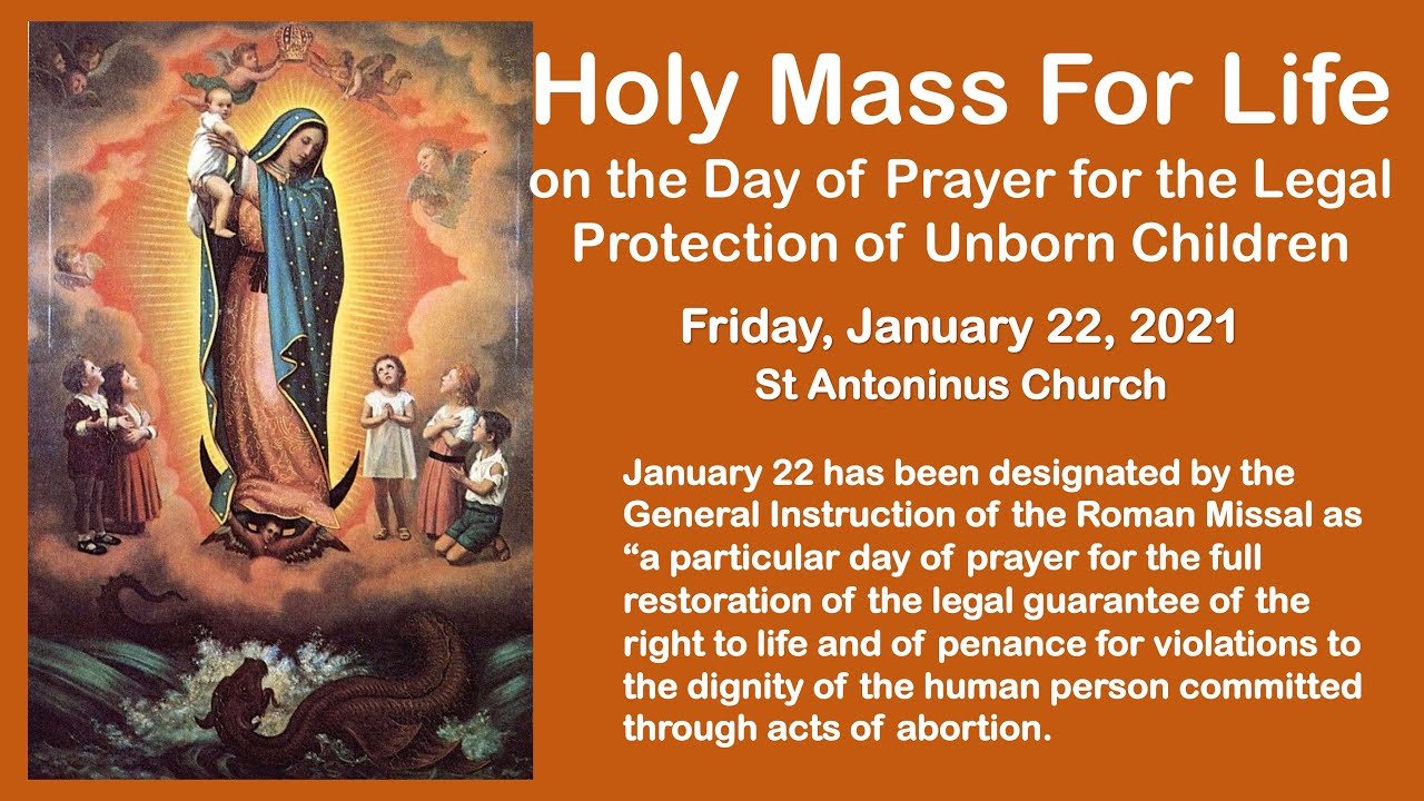 holy-mass-day-of-prayer-for-the-legal-protection-of-unborn-children