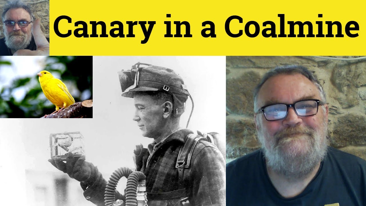 😎 Значение выражения «канарейка в угольной шахте» — Определение выражения «канарейка в угольной ш...