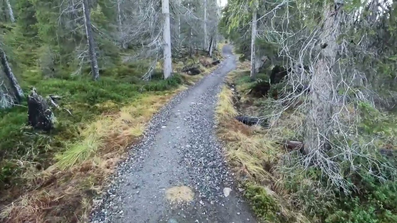 Minkälaista polkua sinä vaellat?