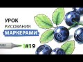 Как нарисовать чернику? / Урок по рисованию маркерами для новичков #19