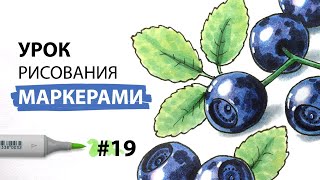 Как нарисовать чернику? / Урок по рисованию маркерами для новичков #19