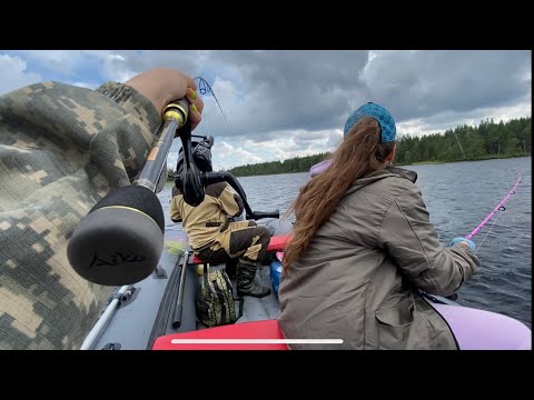 Рыбалка в Карелии. Троллинг на Ультралайт? 😳Окунь загибает спиннинг в дугу.