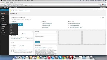 Oshine Theme Installation - Wordpress Backend