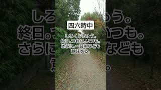 【高齢者向け】数字が入る四字熟語。あなたはいくつ知っているでしょうか?